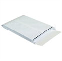 Picture of 10" x 13" x 1 1/2" Expandable Ship-Lite® Envelopes