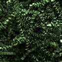 Picture of 10 lb. Forest Green Crinkle Paper