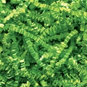 Picture of 10 lb. Lime Crinkle Paper