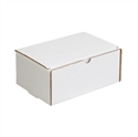 Picture of 9" x 6 1/4" x 4" Literature Mailers