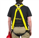 Picture of Full Body Harness
