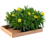Corrugated Trays Picture for category <p>Perfect for transporting small, lightweight loads.<br />Easy-to-fold sides provide additional <strong>stability and security</strong> when moving plants or carrying <strong>cans</strong>, <strong>bottles</strong> and other miscellaneous items.<br />Sold in bundle quantities.<br />Trays ship and store flat.</p>