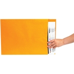 Picture for category <p>Large envelopes protect oversized printed items.</p>
<ul>
<li>Ungummed flaps allow envelopes to be reused.</li>
<li>Allows flat storage for larger items.</li>
<li>28 lb. envelopes.</li>
<li>Sold in case quantities.</li>
</ul>