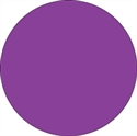Picture of 1/2" Purple Inventory Circle Labels