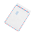 Picture of 10" x 13" Air Mail Flat Tyvek® Envelopes