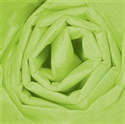 Picture of 20" x 30" Citrus Green Gift Grade Tissue Paper