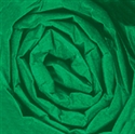 Picture of 20" x 30" Kelly Green Gift Grade Tissue Paper