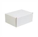 Picture of 11 1/8" x 8 3/4" x 5" Deluxe Literature Mailers