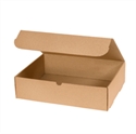 Picture of 15 1/8" x 11 1/8" x 4" Kraft Literature Mailers
