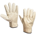 Picture of Leather Driver's Gloves - Large